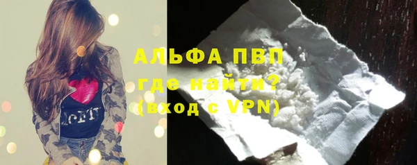 стаф Белокуриха