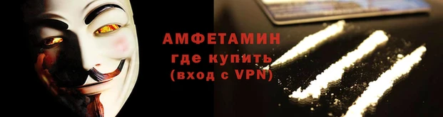 стаф Белокуриха