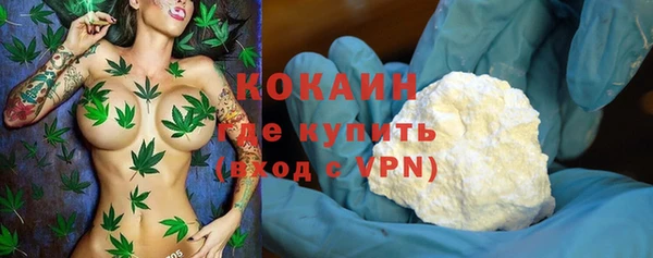 стаф Белокуриха